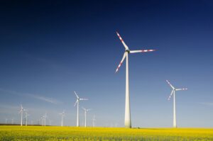 sustainable innovation
